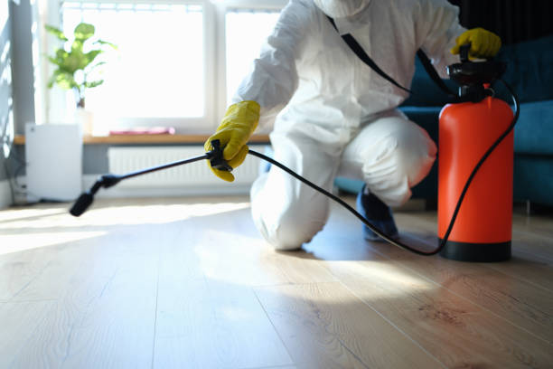 Professional Pest Control in Grove City, FL