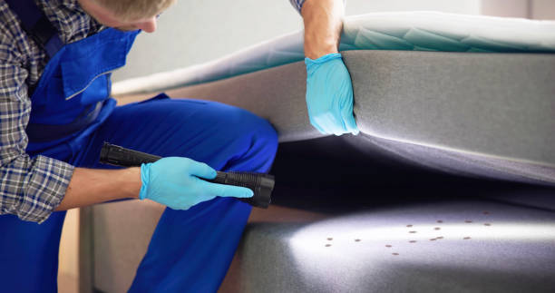 Pest Prevention Services in Grove City, FL
