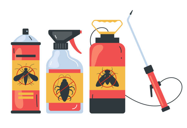 Best Spider Control Near Me  in Grove City, FL
