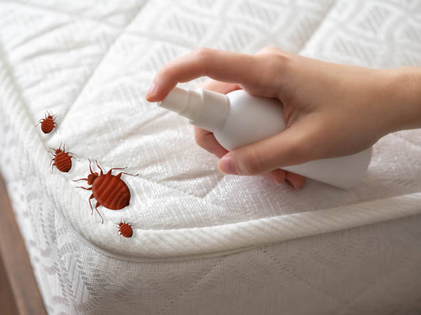 Best Best Pest Control Companies  in Grove City, FL
