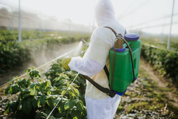 Best Pest Inspection Near Me  in Grove City, FL